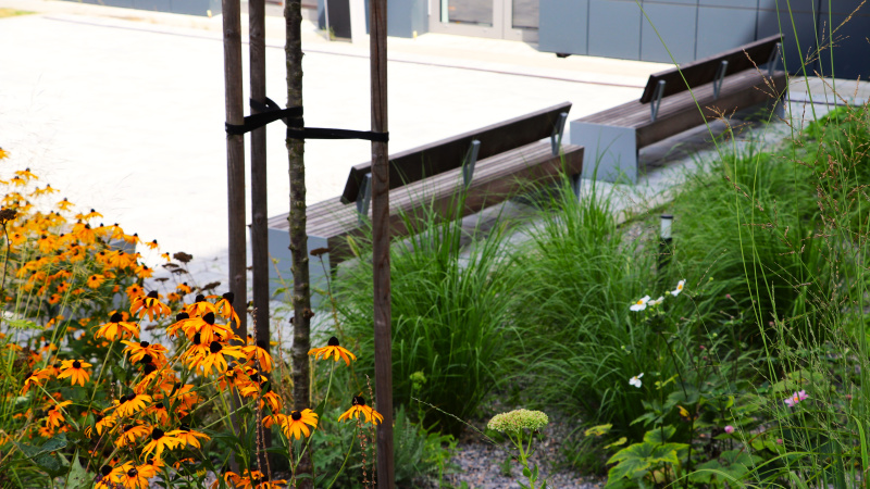 Beleaf - átrium