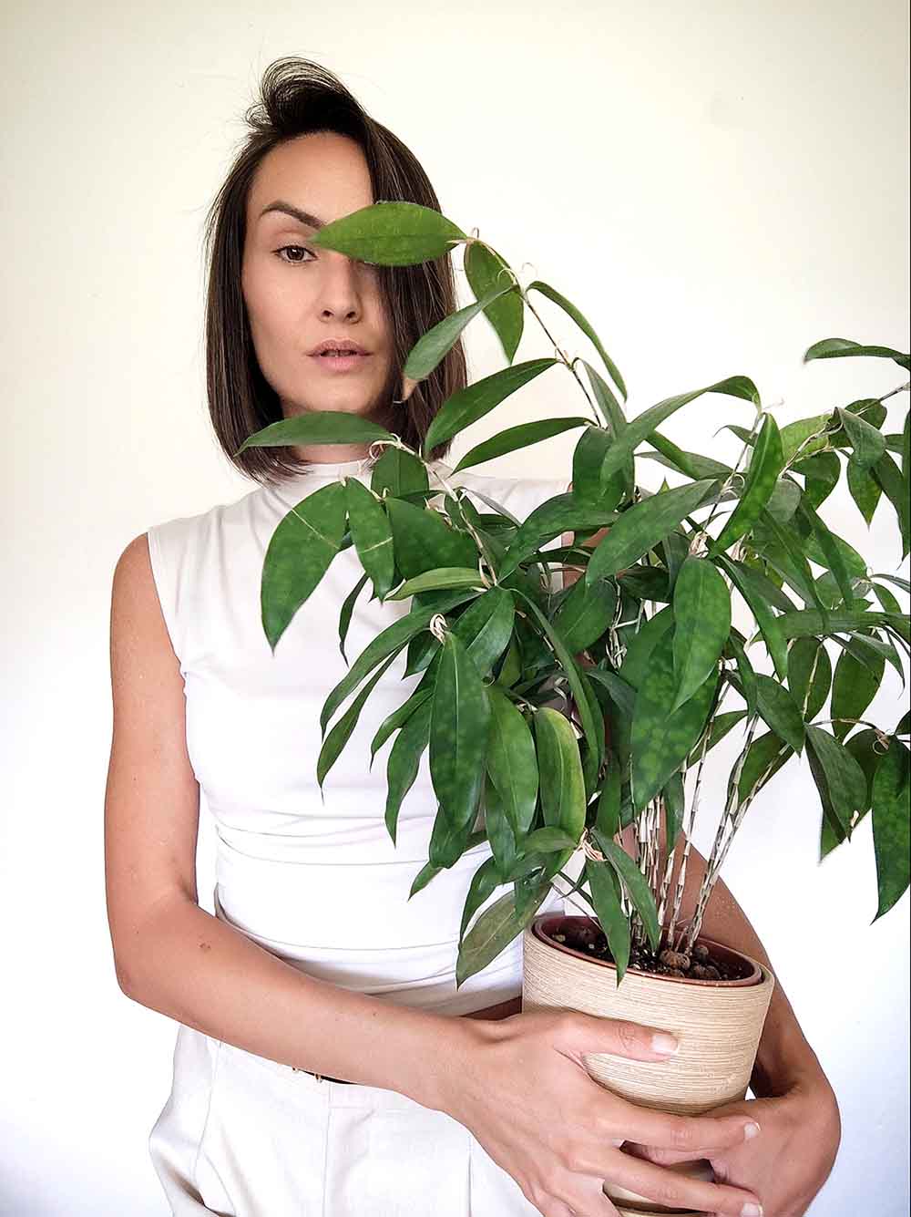Beleaf - O nás